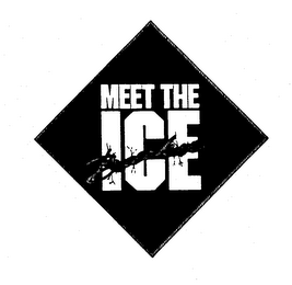 MEET THE ICE BREAKER