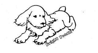 BRIGHT POODLE trademark