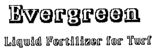 EVERGREEN LIQUID FERTILIZER FOR TURF