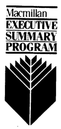 MACMILLAN EXECUTIVE SUMMARY PROGRAM