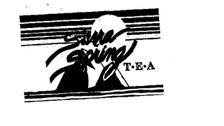 SIERRA SPRING T.E.A. trademark