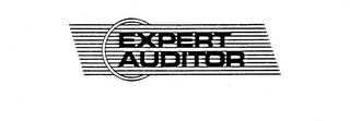 EXPERT AUDITOR