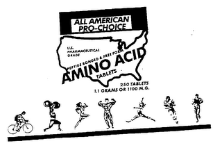 ALL AMERICAN PRO-CHOICE