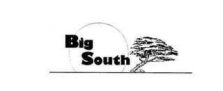 BIG SOUTH trademark