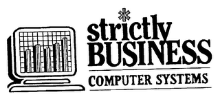 STRICTLY BUSINESS COMPUTER SYSTEMS