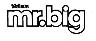 NEILSON MR.BIG trademark