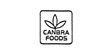 CANBRA FOODS