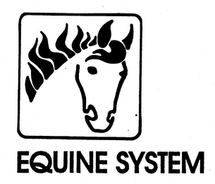 EQUINE SYSTEM trademark