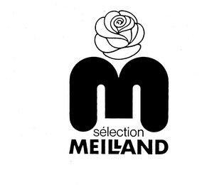 M SELECTION MEILLAND