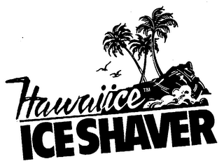 HAWAIICE ICESHAVER