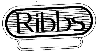 RIBBS