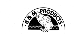 B & M PRODUCTS trademark