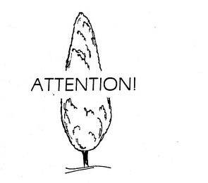 ATTENTION!