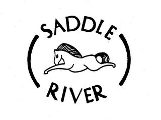 SADDLE RIVER