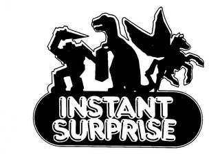 INSTANT SURPRISE