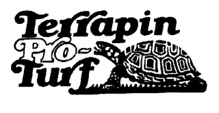 TERRAPIN PRO-TURF