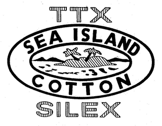 TTX SEA ISLAND COTTON SILEX