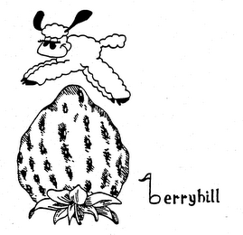 BERRYHILL trademark