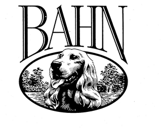 BAHN trademark