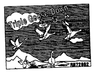 TRIPLE GOOSE DOWN U.S.A.