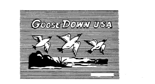 GOOSE DOWN USA