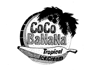 COCO BANANA TROPICAL ICE CREAM