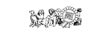 BEST EVER trademark