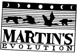 MARTIN'S EVOLUTION
