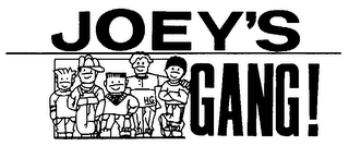 JOEY'S GANG!