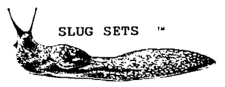 SLUG SETS