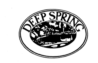 DEEP SPRING trademark