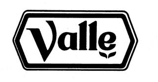 VALLE trademark