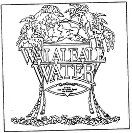 WAIALEALE WATER trademark