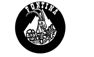 FONTINA trademark