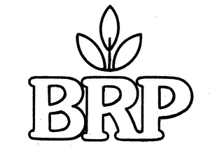 BRP trademark