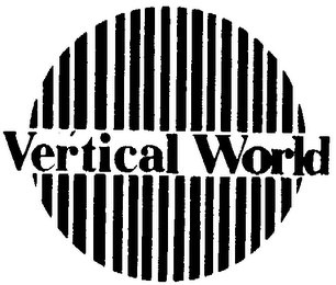 VERTICAL WORLD