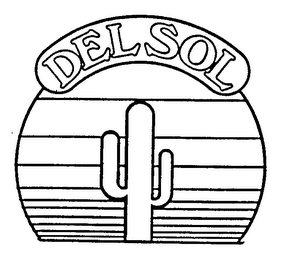 DELSOL