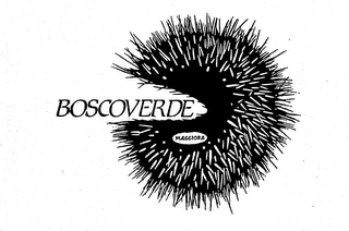 BOSCOVERDE MAGGIORA trademark