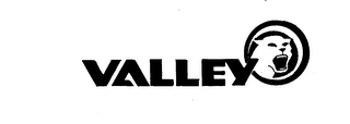 VALLEY trademark