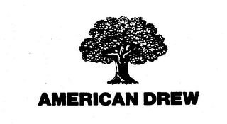 AMERICAN DREW