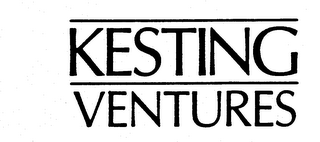 KESTING VENTURES