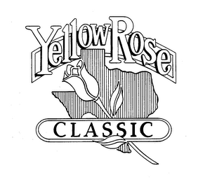 YELLOW ROSE CLASSIC