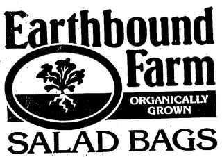 EARTHBOUND FARM ORGANICALLY GROWN SALAD BAGS