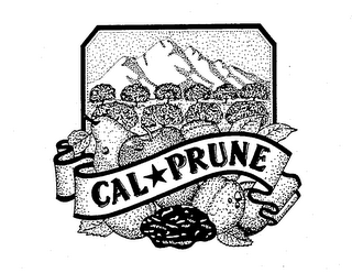 CAL-PRUNE