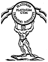 PLATINUM GYM PLATINUM TRAINING INSTITUTE