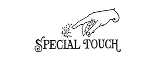 SPECIAL TOUCH trademark