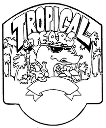 TROPICAL TEARS SPARKLING MINERAL WATER NATURAL