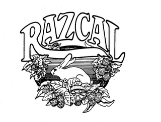 RAZCAL