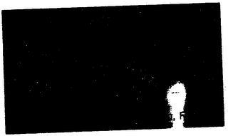 POSH PEEPERS BOCA RATON, FLORIDA