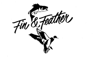 FIN & FEATHER